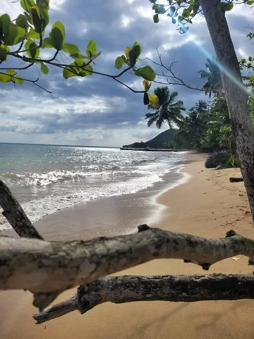 Villa Zoe House Near Rincon Anasco Puerto Rico